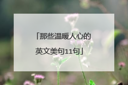 那些温暖人心的英文美句11句