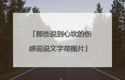 那些说到心坎的伤感说说文字带图片