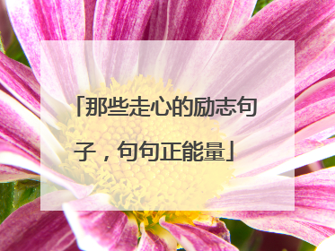 那些走心的励志句子,句句正能量