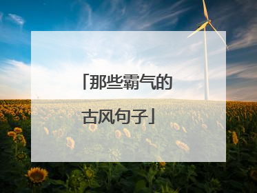 那些霸气的古风句子