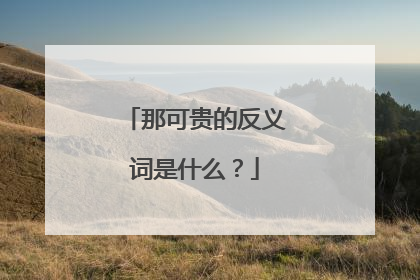 那可贵的反义词是什么?