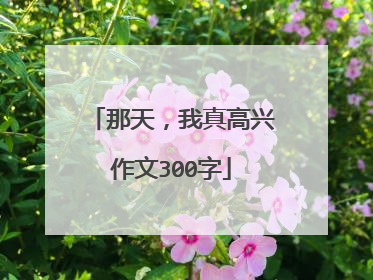 那天，我真高兴作文300字