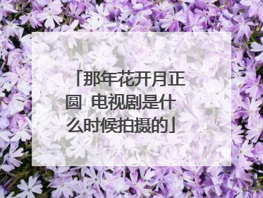那年花开月正圆 电视剧是什么时候拍摄的