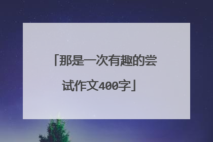 那是一次有趣的尝试作文400字