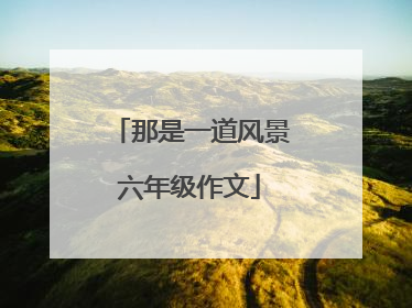 那是一道风景六年级作文