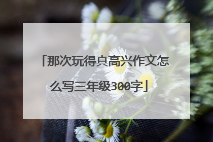 那次玩得真高兴作文怎么写三年级300字