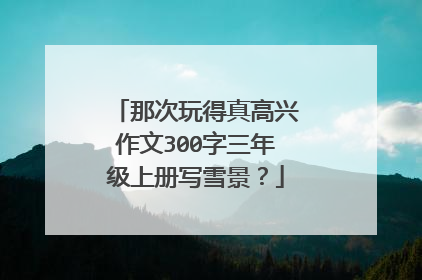 那次玩得真高兴作文300字三年级上册写雪景？