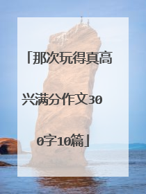 那次玩得真高兴满分作文300字10篇