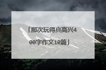 那次玩得真高兴400字作文10篇