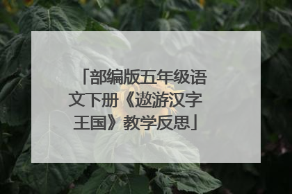 部编版五年级语文下册《遨游汉字王国》教学反思