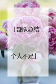 部队总结个人不足