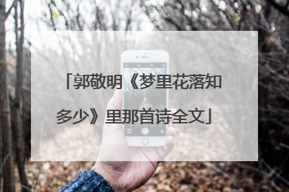 郭敬明《梦里花落知多少》里那首诗全文