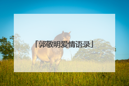 郭敬明爱情语录