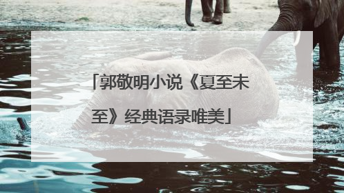 郭敬明小说《夏至未至》经典语录唯美