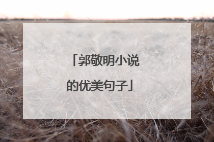 郭敬明小说的优美句子