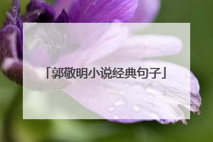 郭敬明小说经典句子