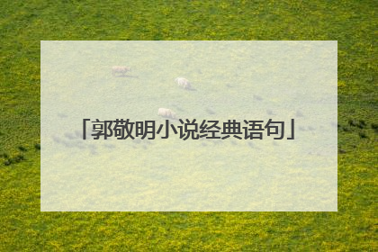 郭敬明小说经典语句