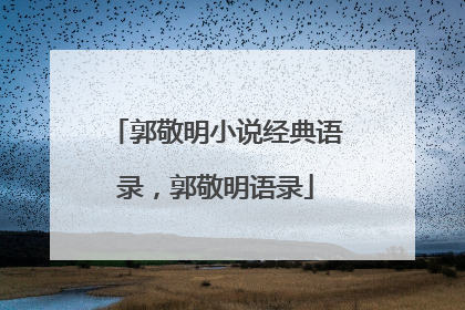 郭敬明小说经典语录,郭敬明语录