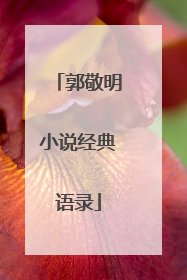 郭敬明小说经典语录