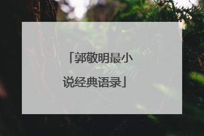 郭敬明最小说经典语录