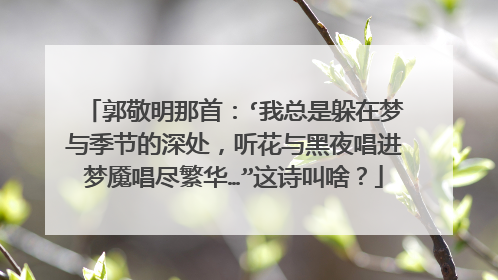 郭敬明那首：‘我总是躲在梦与季节的深处，听花与黑夜唱进梦魇唱尽繁华…”这诗叫啥？