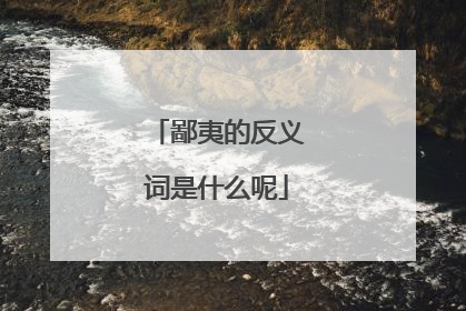 鄙夷的反义词是什么呢