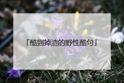 酷到掉渣的野性酷句