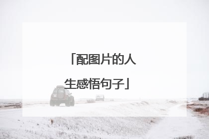 配图片的人生感悟句子