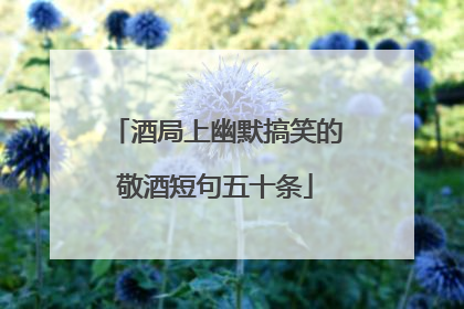 酒局上幽默搞笑的敬酒短句五十条