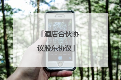 酒店合伙协议股东协议