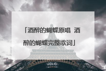 酒醉的蝴蝶原唱 酒醉的蝴蝶完整歌词