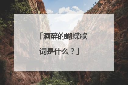 酒醉的蝴蝶歌词是什么？