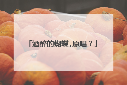 酒醉的蝴蝶,原唱？