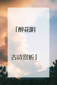 醉花阴 古诗赏析