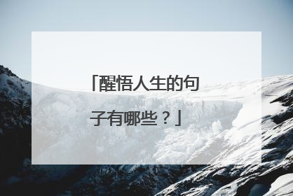 醒悟人生的句子有哪些?