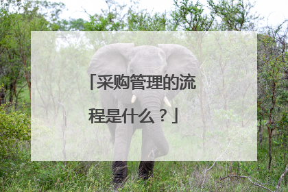 采购管理的流程是什么？