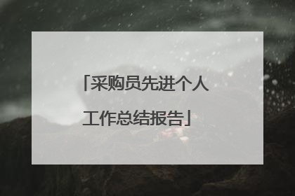 采购员先进个人工作总结报告
