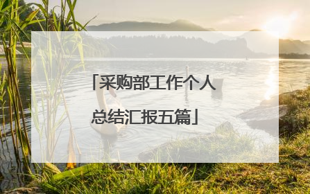 采购部工作个人总结汇报五篇