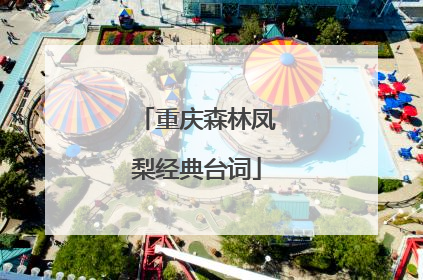 重庆森林凤梨经典台词