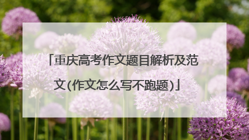 重庆高考作文题目解析及范文(作文怎么写不跑题)