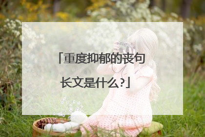 重度抑郁的丧句长文是什么?