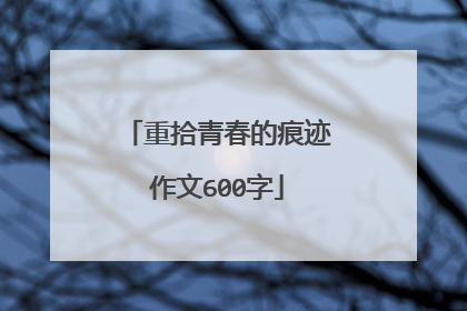 重拾青春的痕迹作文600字