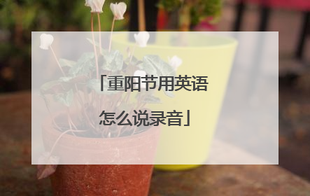 重阳节用英语怎么说录音