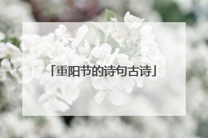 重阳节的诗句古诗