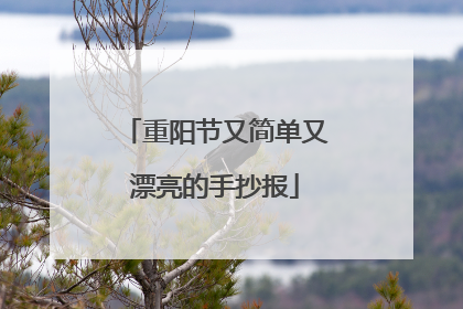 重阳节又简单又漂亮的手抄报