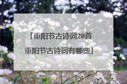 重阳节古诗词20首 重阳节古诗词有哪些