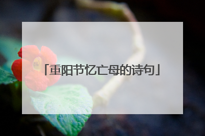 重阳节忆亡母的诗句