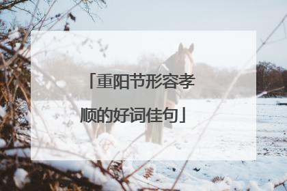 重阳节形容孝顺的好词佳句