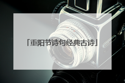 重阳节诗句经典古诗
