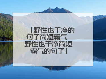 野性也干净的句子简短霸气 野性也干净简短霸气的句子